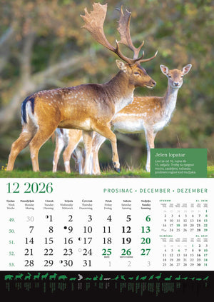 Promotivni zidni kalendar s rokovima lova na divlje životinje