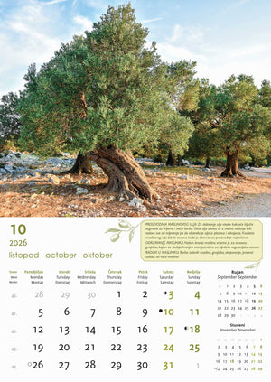 Promotivni zidni kalendar Masline