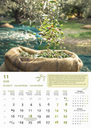 Promotivni zidni kalendar Masline