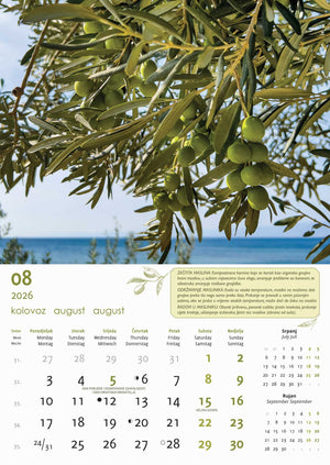 Promotivni zidni kalendar Masline